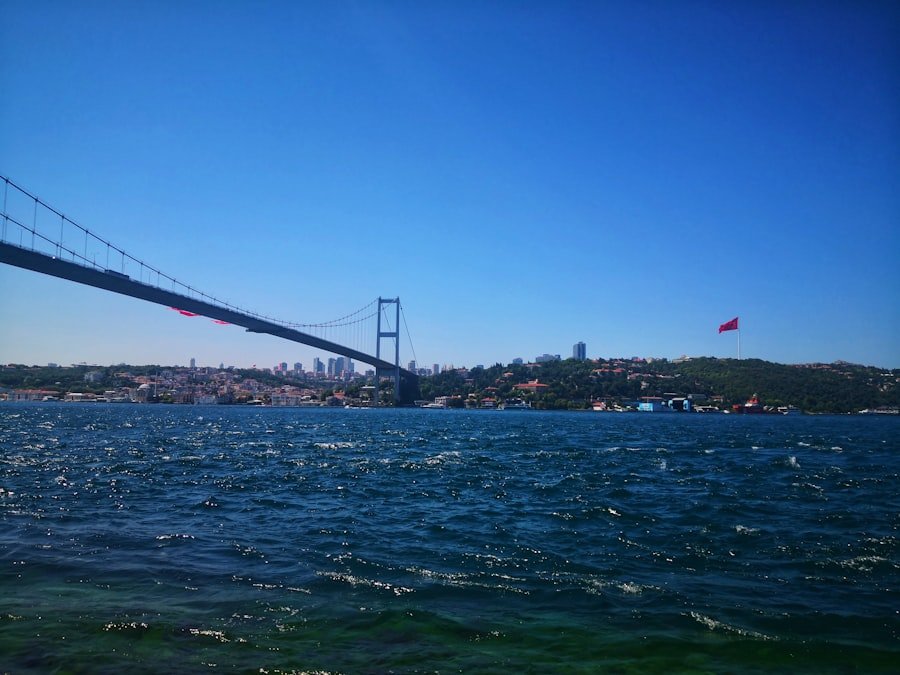 eat simit istanbul