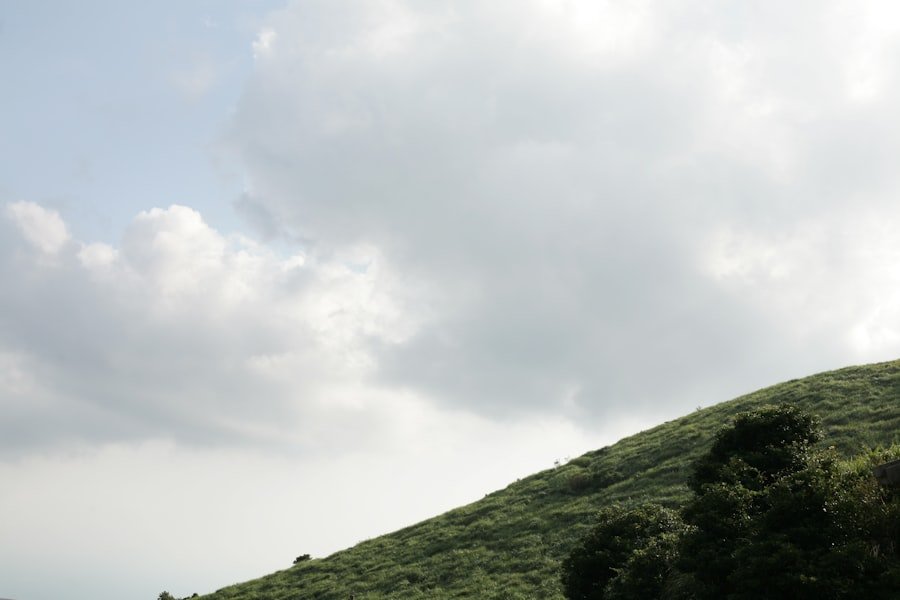 Cihangir