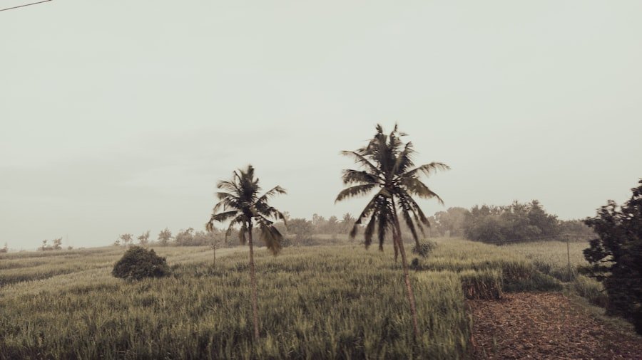 Instagram Spots Balat