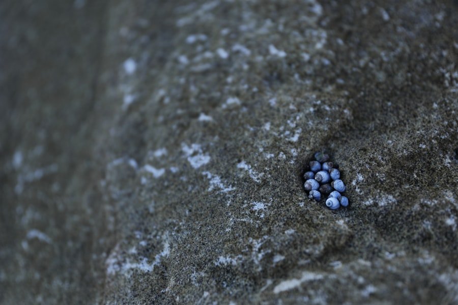 Hidden Gems in Fener