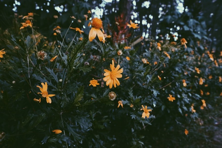 instagram spots