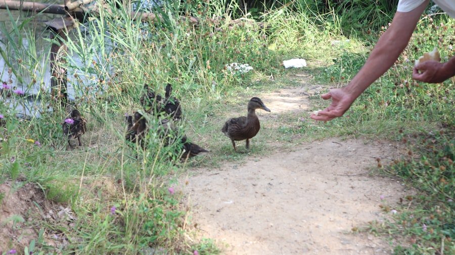 family friendly Burgazada