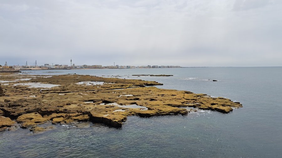 free things to do in bari