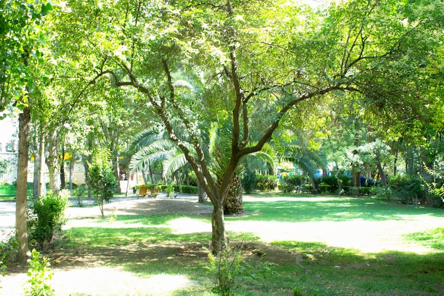 Photo Galata Parks