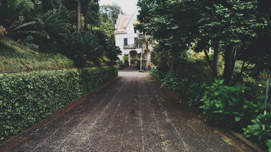 Photo Instagram Spots
