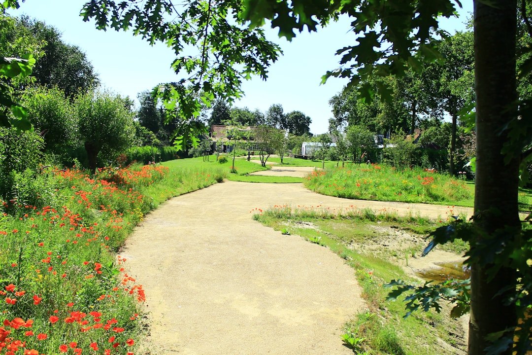 Photo Parks in Cihangir