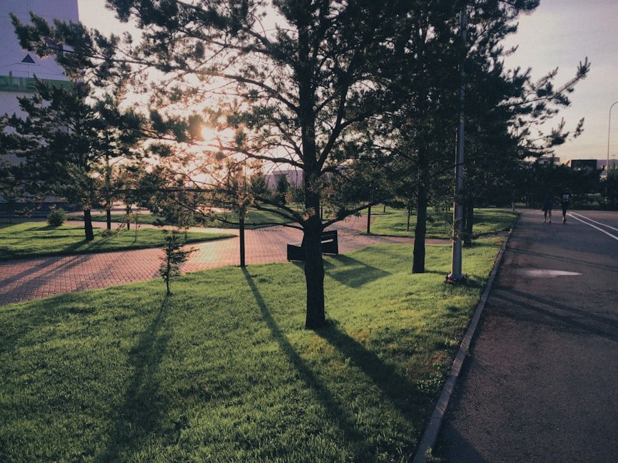 Photo Buyukada parks