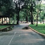 Photo Parks in Moda