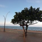 Photo stay Buyukada