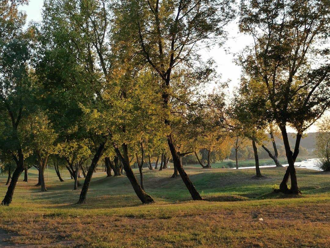 Photo Parks in Karakoy