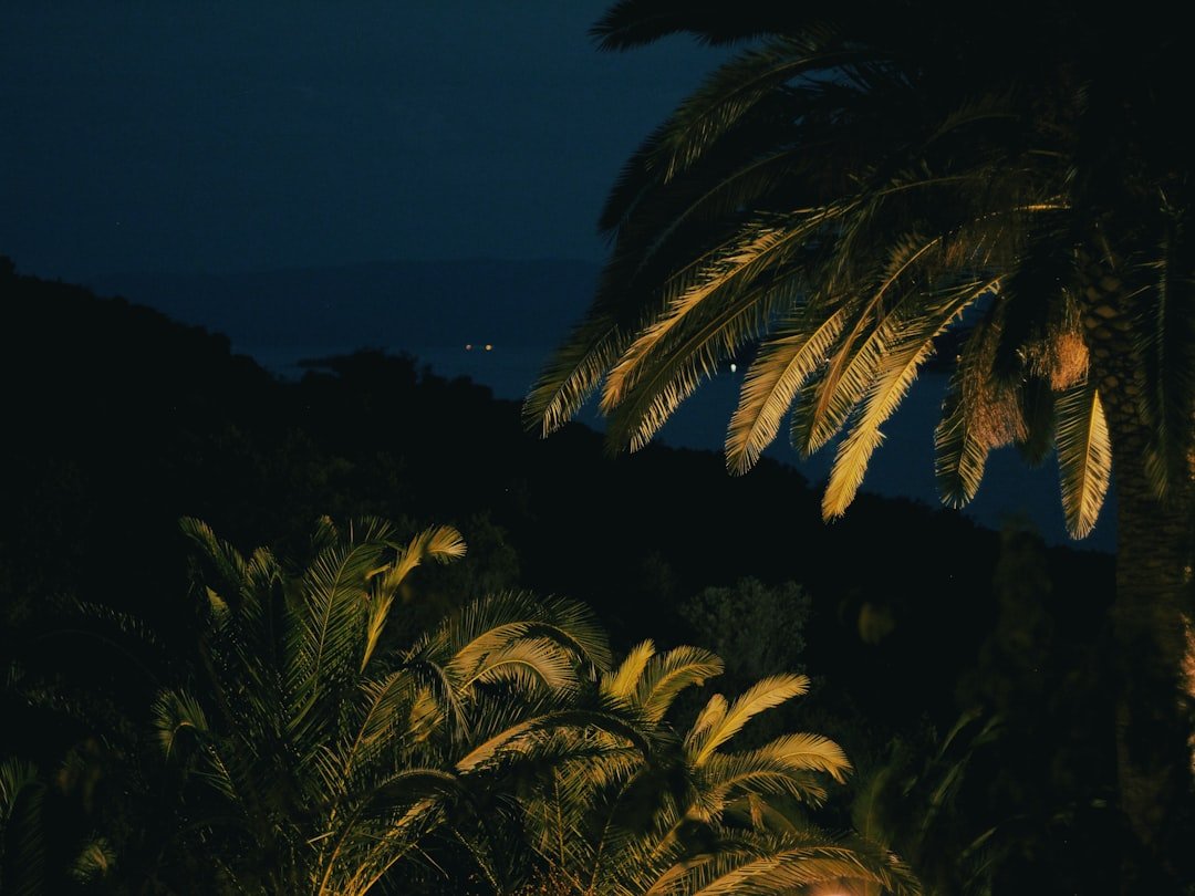 Photo nightlife Heybeliada