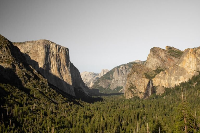 Photo Viewpoints
