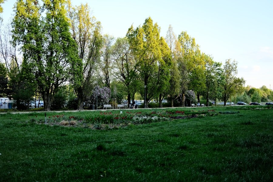 Photo Burgazada parks