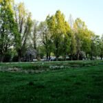 Photo parks in Uskudar