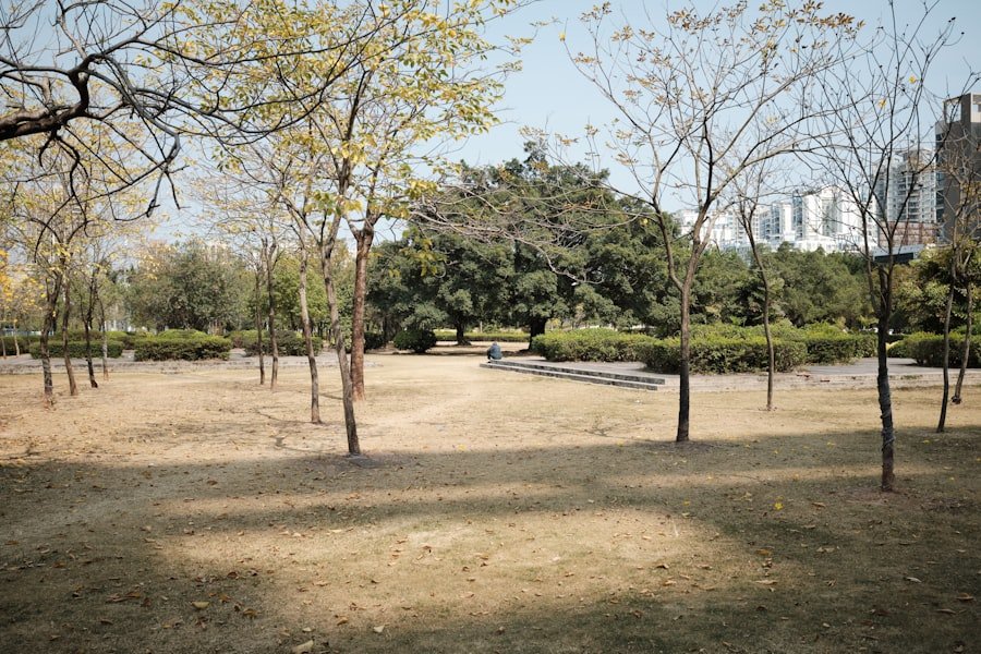 Photo parks in Uskudar