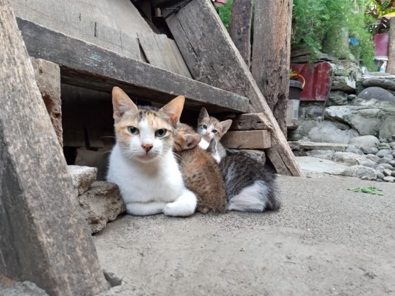 Photo family friendly Burgazada