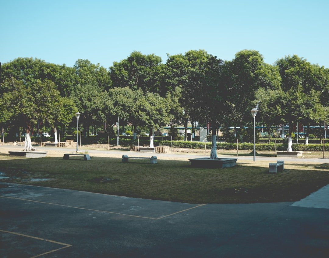 Photo parks in Besiktas