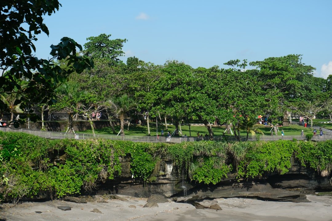 Photo parks in Princes Islands