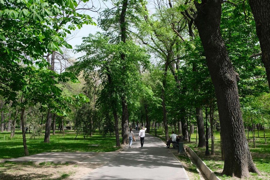 Photo parks in Ortakoy