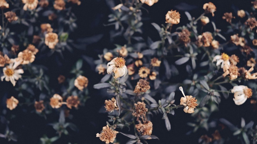 Photo instagram spots