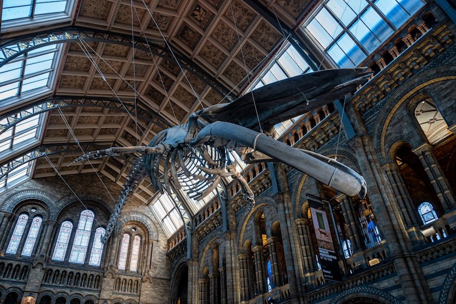 Photo Museums in London