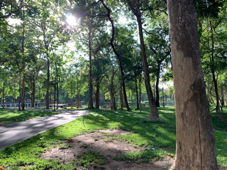 Photo parks in Arnavutkoy