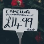 Photo affordable eats