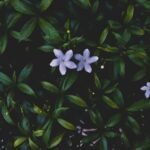 Photo instagram spots