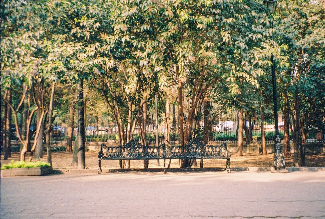 Photo parks in Sariyer