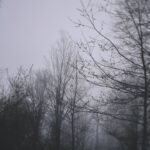Photo Sisli