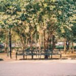 Photo parks in Sisli