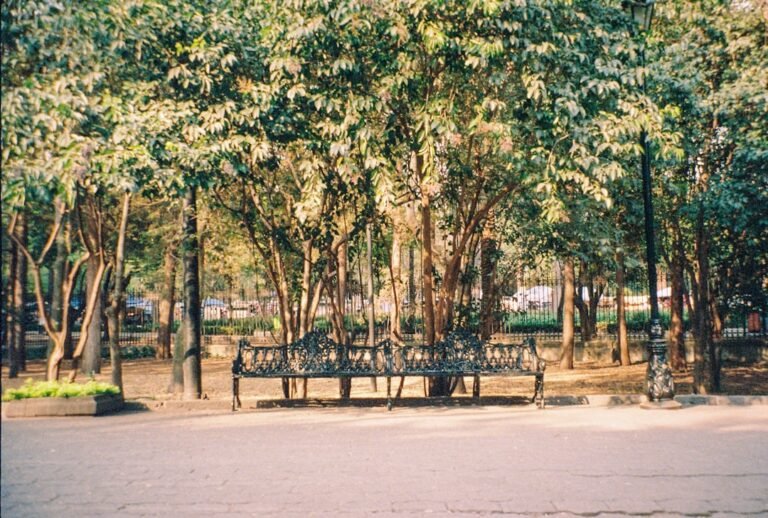 Photo parks in Sisli