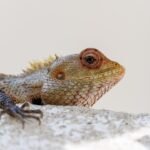 Photo hidden gems