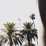 Photo instagram spots