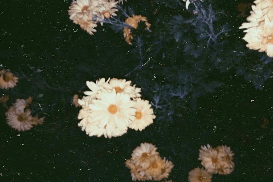 Photo instagram spots