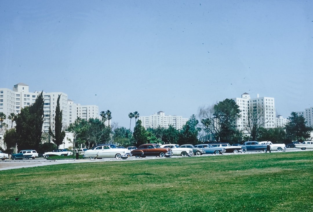 Photo parks in Fatih