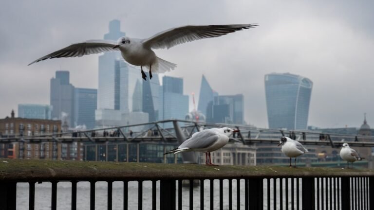 Photo London attractions