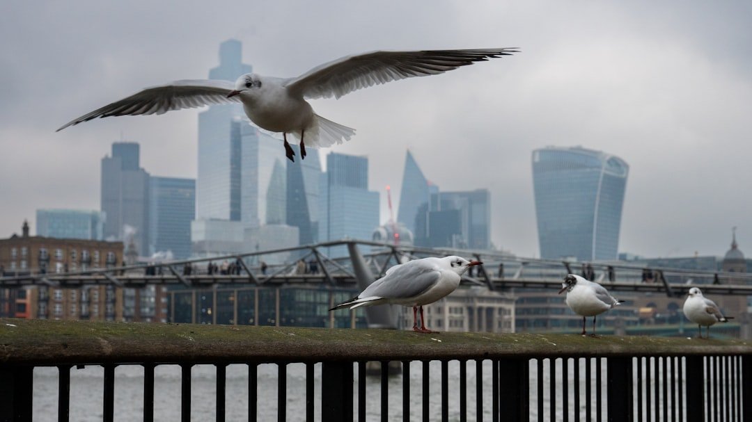 Photo London attractions