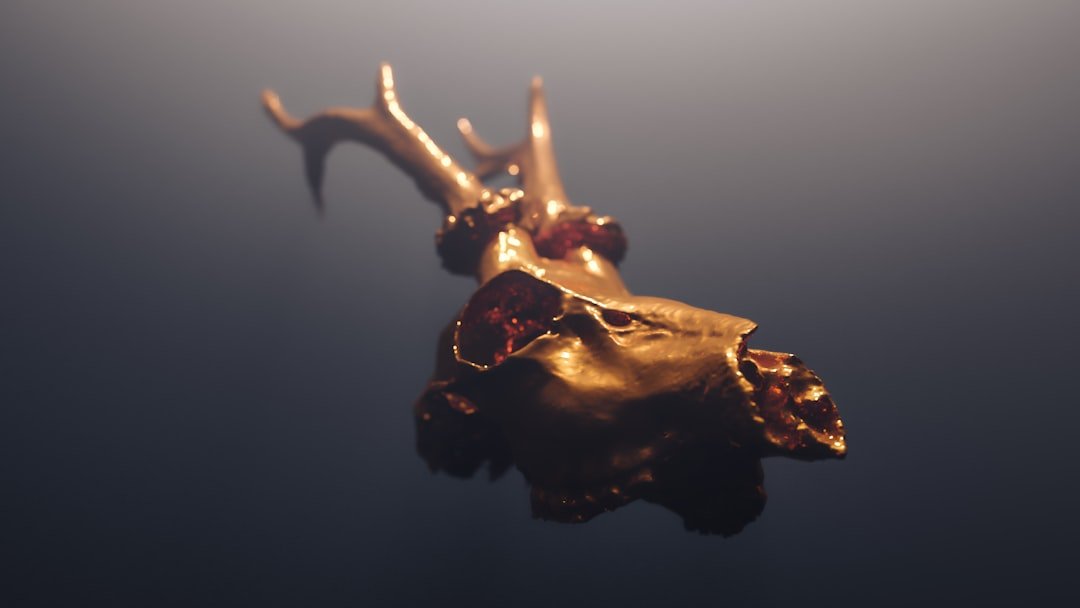 Photo stay Golden Horn