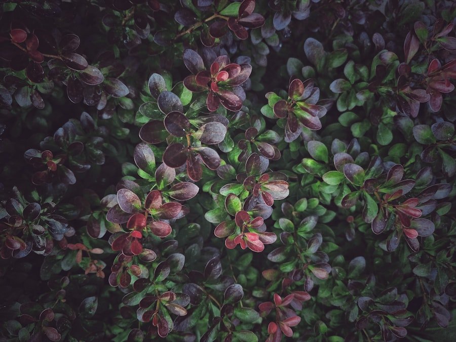 Photo instagram spots