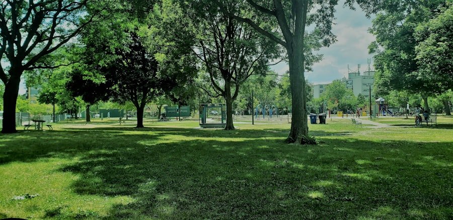 Photo parks Eyupsultan