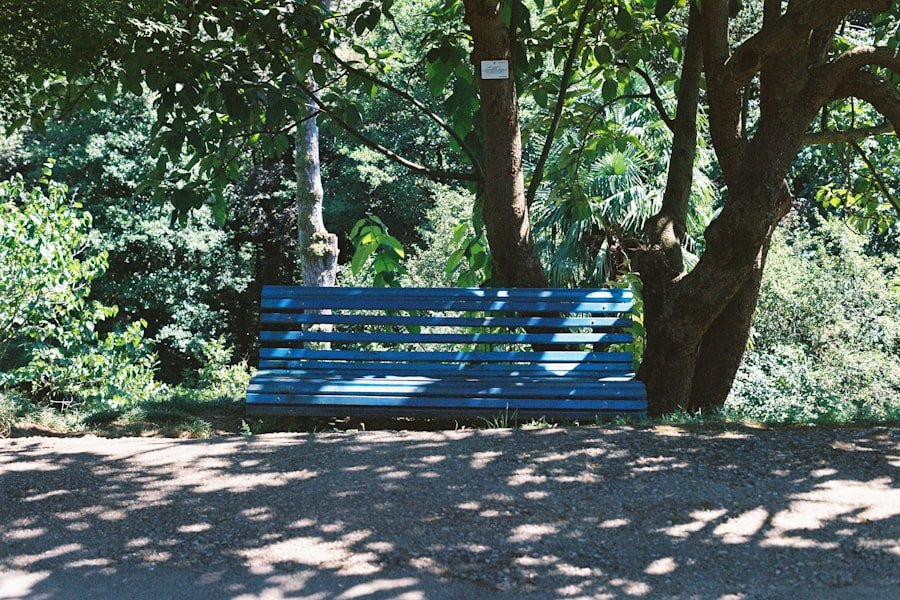 Photo parks Eyupsultan