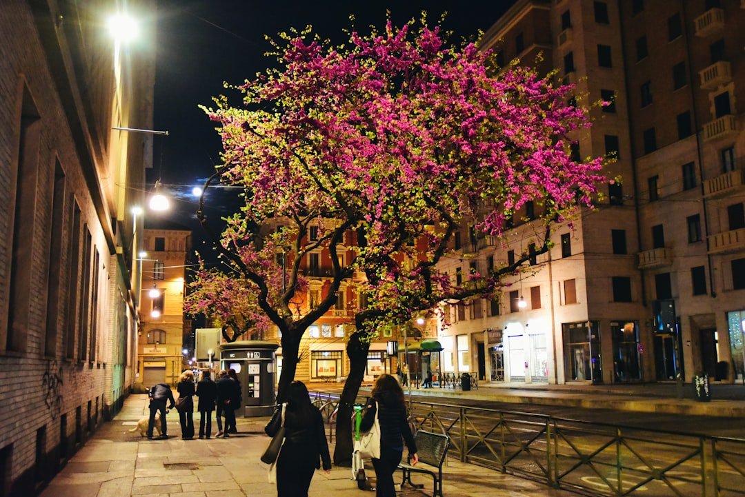 Photo palermo safe night