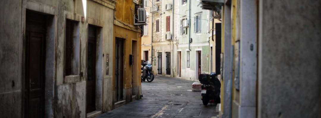 Photo day trips from bari