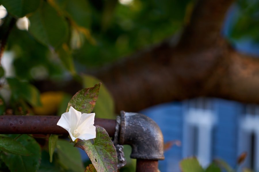 Photo tap water Italy