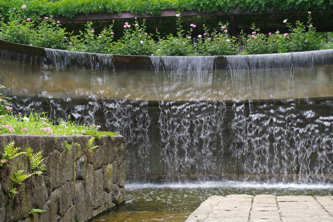 Photo tap water fountains