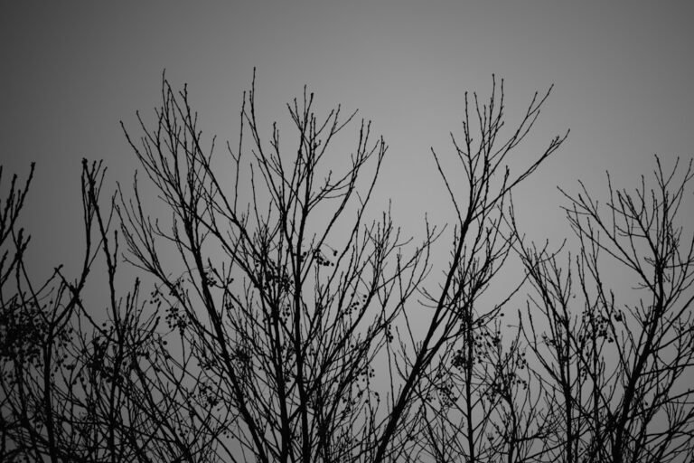 Photo stay connected