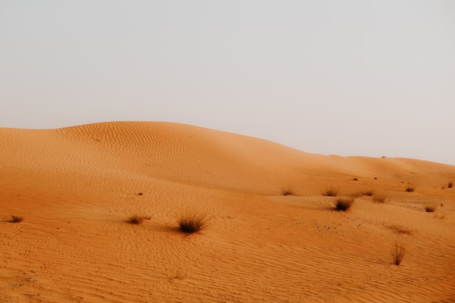 Photo Desert Safari Dubai