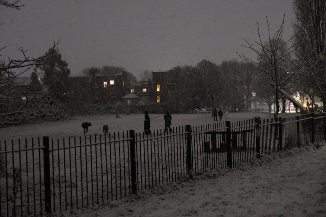 Photo London Weather in February