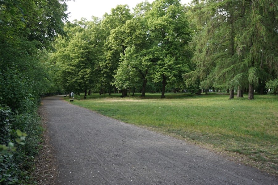 Photo Visit Hyde Park